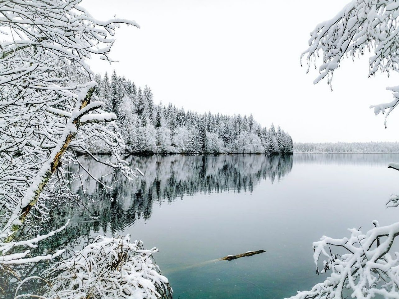 Paisagem aberta com picos cobertos de neve ao fundo
