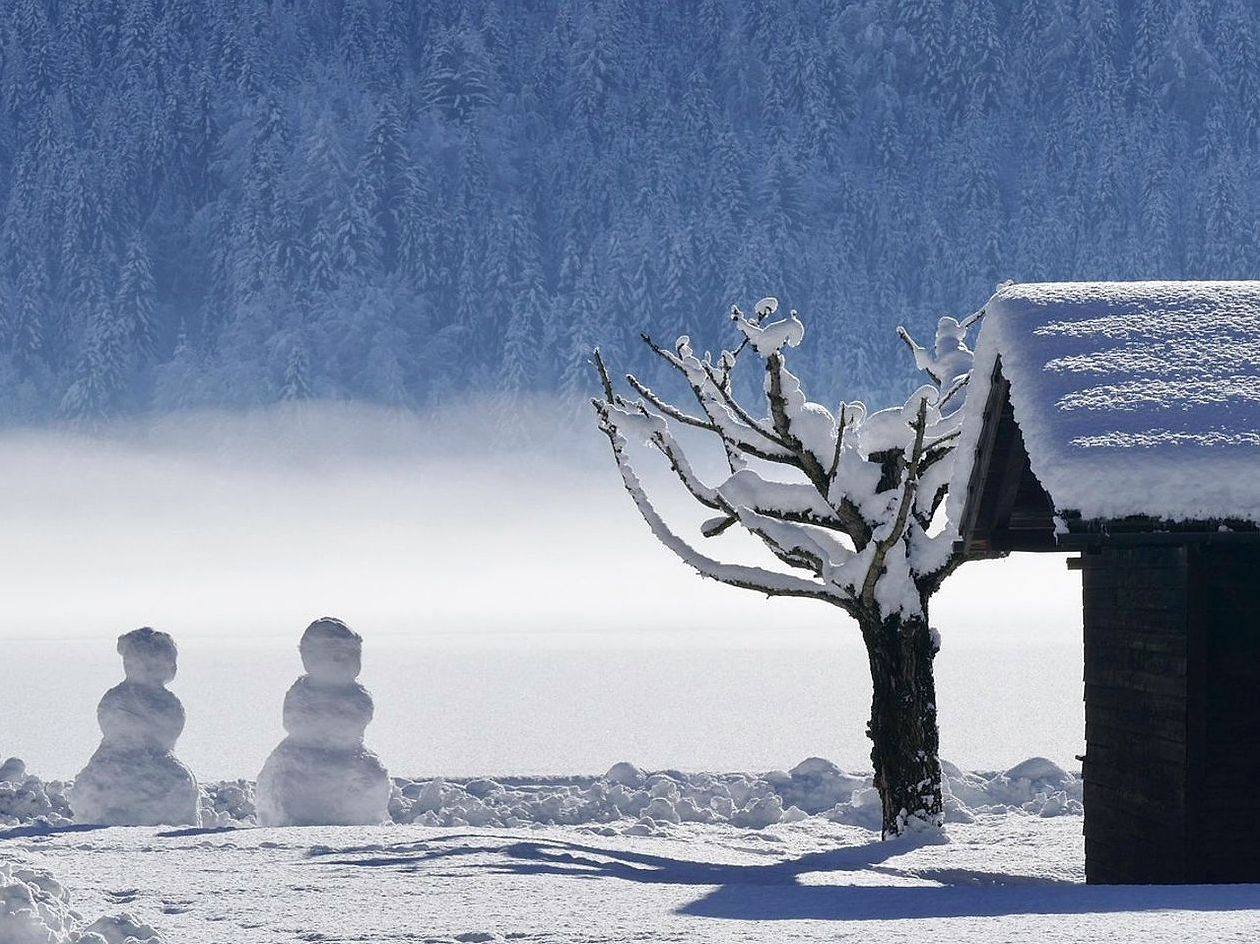 Floresta coberta de neve ao redor de um lago de montanha